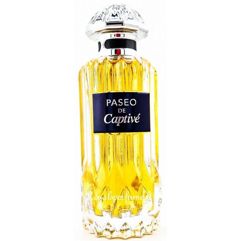 PENDORA SCENTS Paseo De Captive perfumowana woda dla mężczyzn 100ml - Royalsperfume PENDORA SCENT Wszystko
