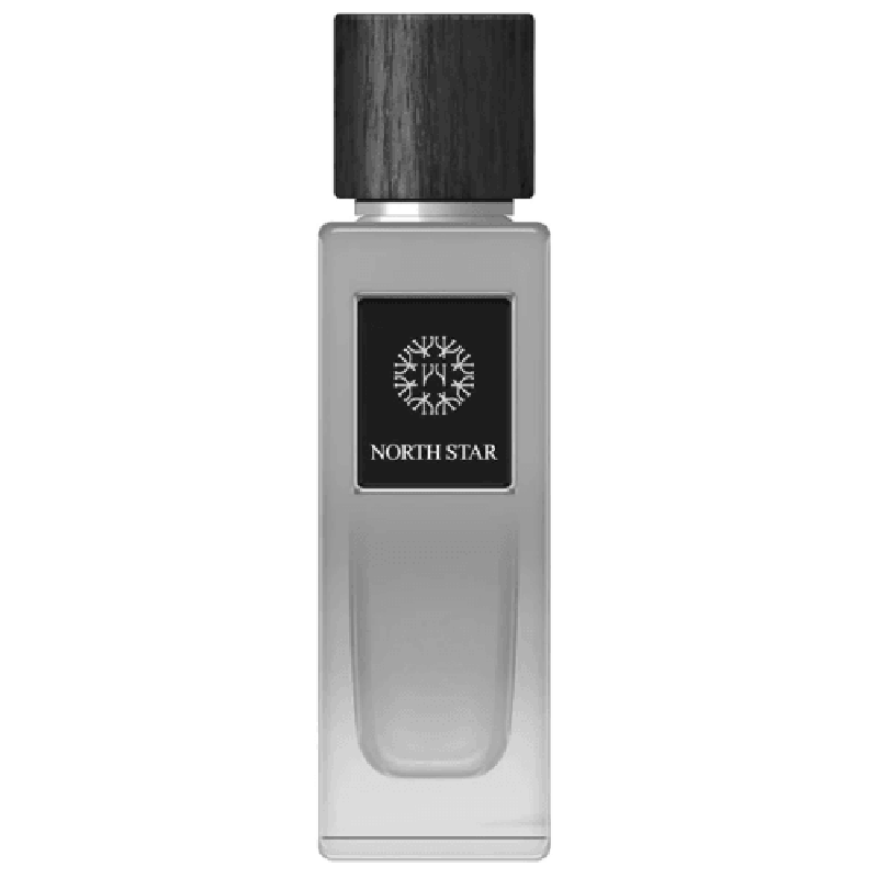 The Woods Collection Natural North Star perfumowana woda dla mężczyzn 100ml - Royalsperfume The Woods Collection 